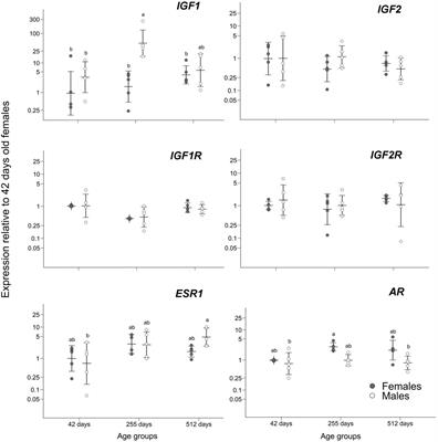 Development of male-larger sexual size dimorphism in a lizard: IGF1 peak long after sexual maturity overlaps with pronounced growth in males